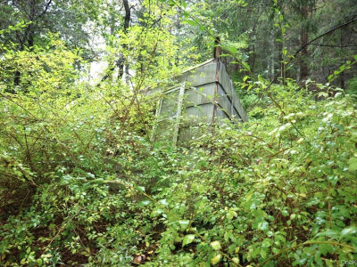 6067 Route 81 Greenville, NY 12083