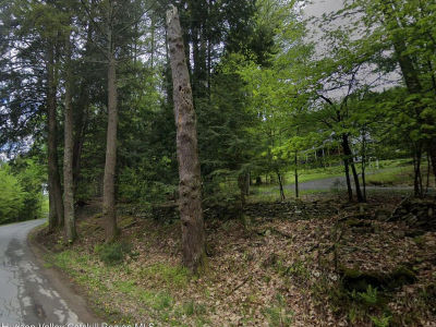 0 SW Allow Trl Bethel, NY 12720