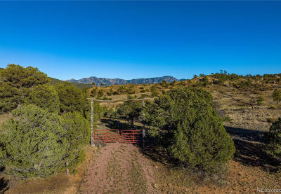 0 Mac Donnell Dr Cotopaxi, CO 81223