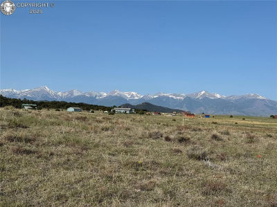 464 Burroback Ct Cotopaxi, CO 81223