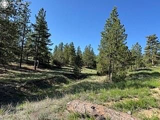 69 Coyote Run Cotopaxi, CO 81223