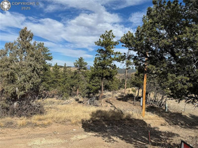 2926 E Path Cotopaxi, CO 81223