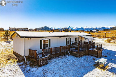 1838 17th Trl Cotopaxi, CO 81223