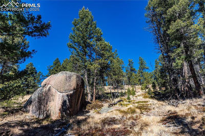 Tbd Arrowhead Rd Florissant, CO 80816