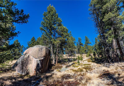 0 Arrowhead Rd Florissant, CO 80816