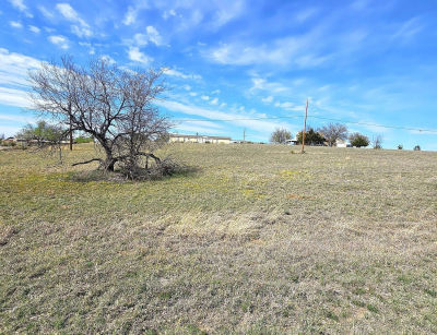 418 Dana Dr Howardwick, TX 79226