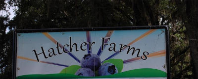 18811 SE 243rd St Hawthorne, FL 32640