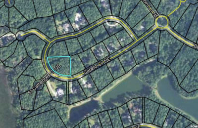 132 Sapelo Cir NE Townsend, GA 31331