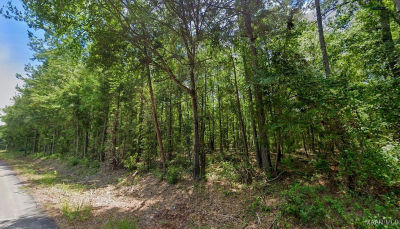 21 Lee Rd #140 Salem, AL 36874