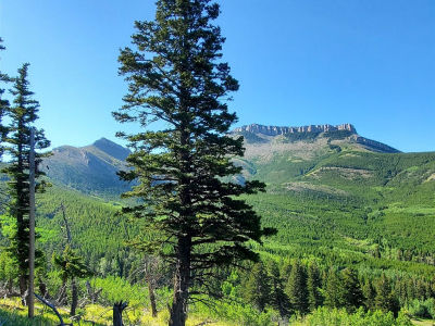 3384 Joslin Creek Rd #59410 Augusta, MT 59410