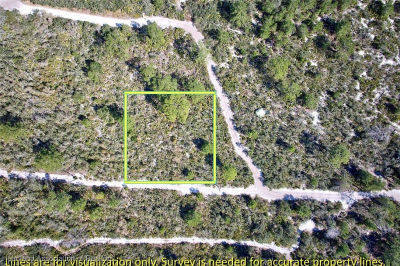 2116 Carla Ave Sebring, FL 33875