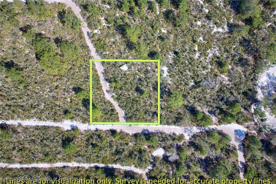 2112 Carla Ave Sebring, FL 33875