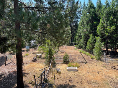 750 McDonald Creek Rd Burnt Ranch, CA 95527