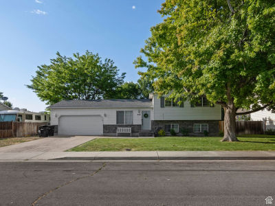 318 W 850th St N Springville, UT 84663