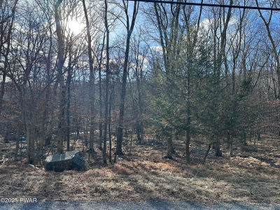 LOT 736 Decker Rd Bushkill, PA 18324