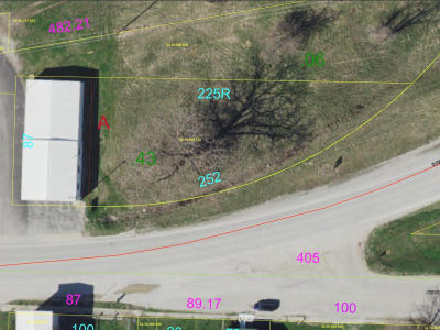 295 Arbor St Niota, IL 62358