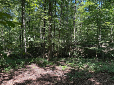 X Fox Ct Nineveh, IN 46164