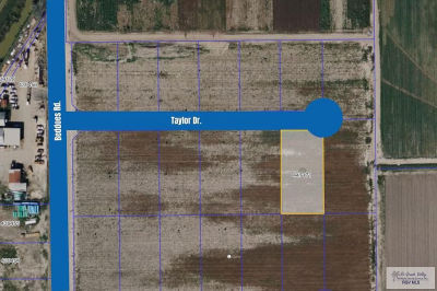 0 Taylor Rd La Feria, TX 78559