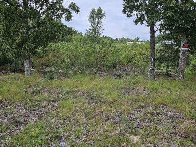 736 Bush Berry Rd Pelion, SC 29123