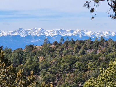 33066 Westwood Dr Trinidad, CO 81082