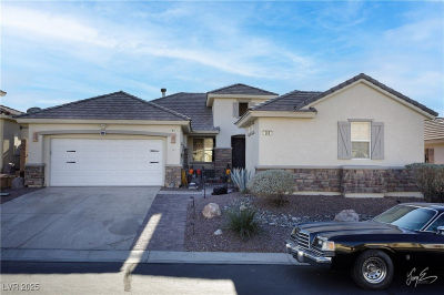 206 Pebble Creek Hts Mesquite, NV 89027