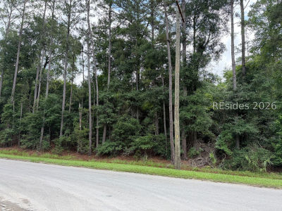 Lowcountry Dr Ridgeland, SC 29936