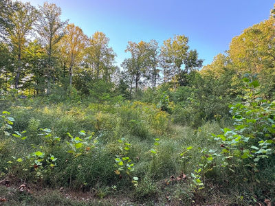 0 S Paradise Bay Blvd Rockville, IN 47872