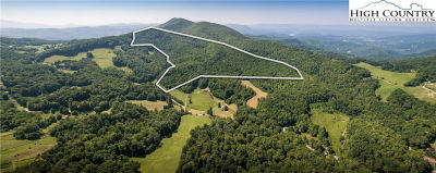 Tbd Flat Springs Rd Elk Park, NC 28622