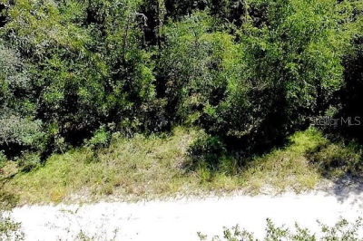 0 NE 138th Ter LOT 8 Williston, FL 32696