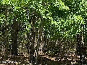 0 Montefiore Ave Jackson, NJ 08527