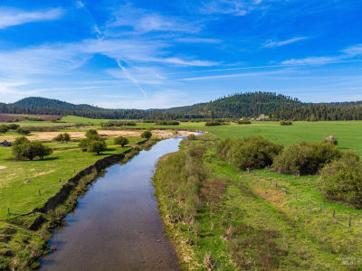 1101 Ruby Creek Rd Harvard, ID 83834