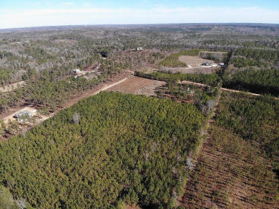 9030 Hillandale Dr Auburn, AL 36830