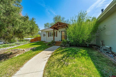 125 Ball Ln Durango, CO 81301