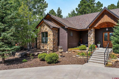 74 Cave Basin Ct Durango, CO 81301