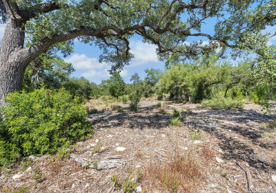 840 Earle Oak Ave #8 Bulverde, TX 78163