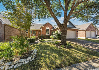 2034 Thicket Trail Dr San Antonio, TX 78248