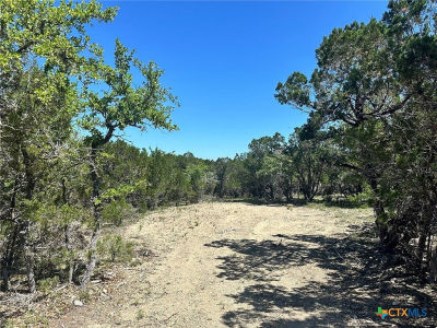 277 Gallagher Dr Canyon Lake, TX 78133