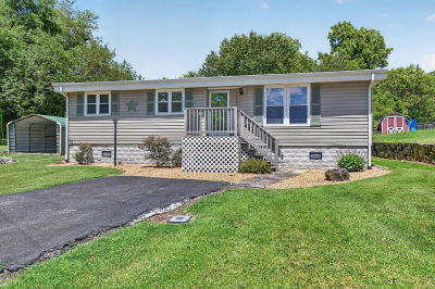 714 Allison Gap Rd Saltville, VA 24370