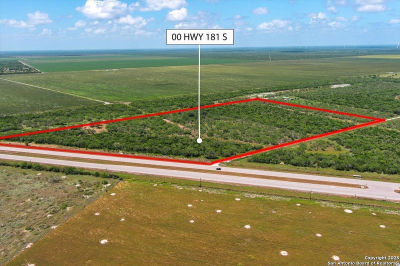 0 Off Hwy S #181-3 Skidmore, TX 78389