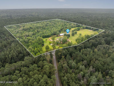 9641 Janice Brooklyn Rd Brooklyn, MS 39425