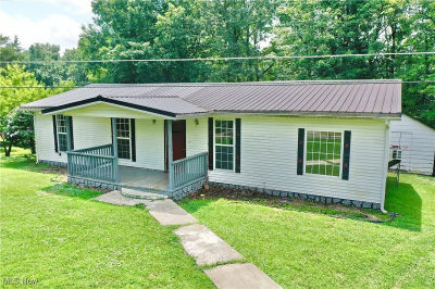 110 Horse Ridge Dr Grantsville, WV 26147