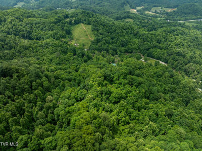 Tbd Whitehead Hollow Rd Roan Mountain, TN 37687