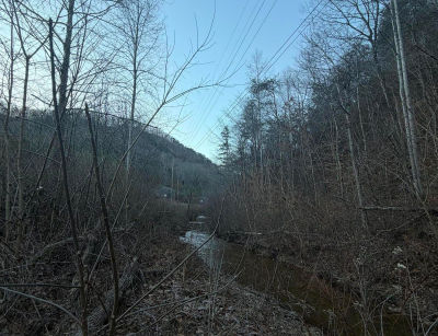 Highway 25e Bean Station, TN 37708