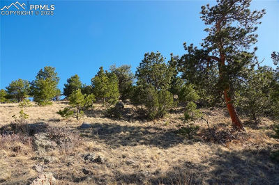 County Road 5 LOT 1 Canon City, CO 81212