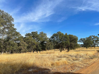 10090 Arbolada Dr La Grange, CA 95329