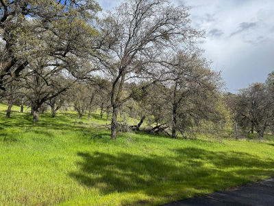 0 Castillo Way La Grange, CA 95329