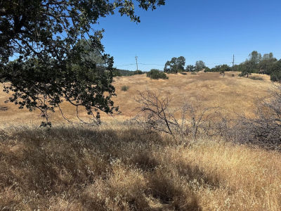 569 Bolivar Ct La Grange, CA 95329