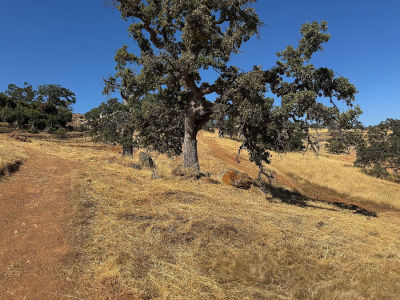 9786 Mirasol Way La Grange, CA 95329