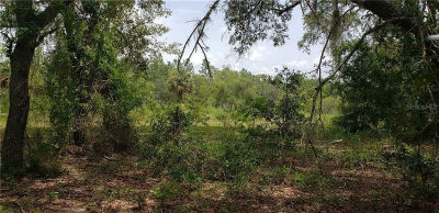 11 NE Alt Hwy #27 Williston, FL 32696