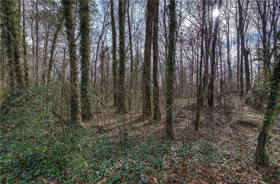 0 Villa Rica Hwy #3 Dallas, GA 30157